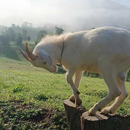 ไร่นิธิสุนทร Nithisoonthon Farmstay Mae Hong Son Esterno foto