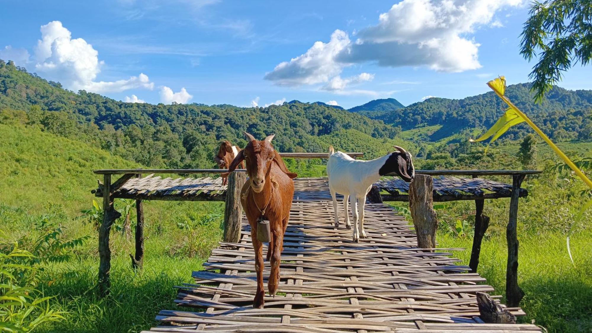 ไร่นิธิสุนทร Nithisoonthon Farmstay Mae Hong Son Esterno foto