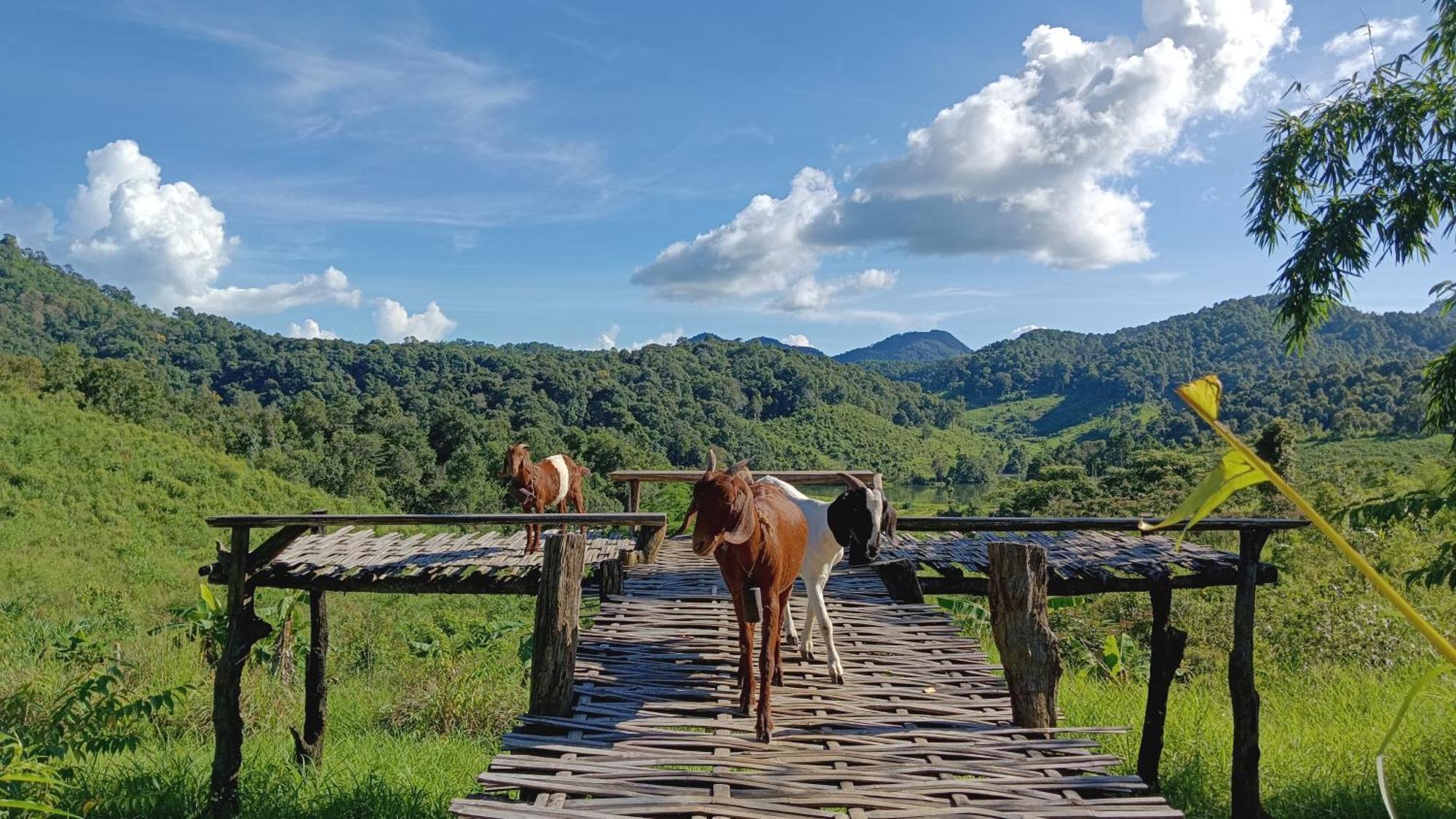 ไร่นิธิสุนทร Nithisoonthon Farmstay Mae Hong Son Esterno foto