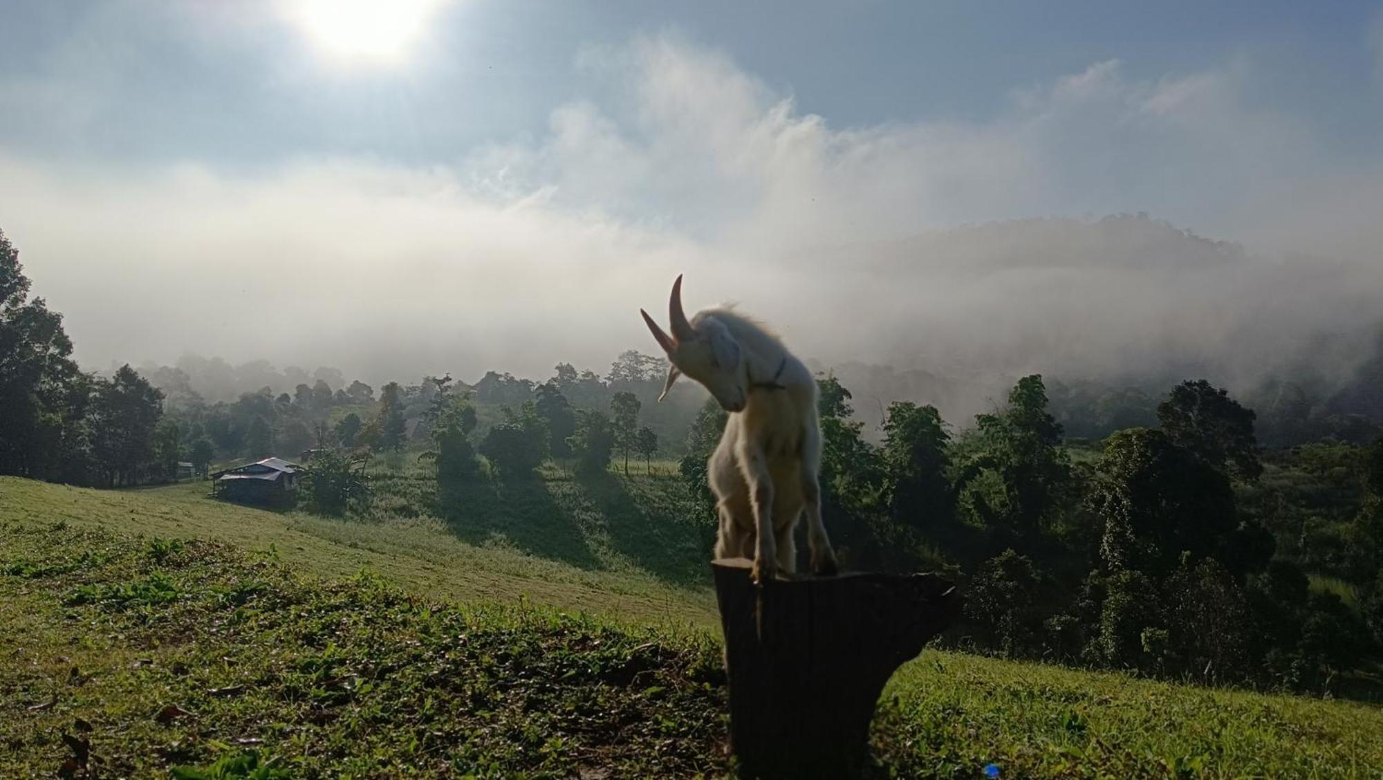 ไร่นิธิสุนทร Nithisoonthon Farmstay Mae Hong Son Esterno foto