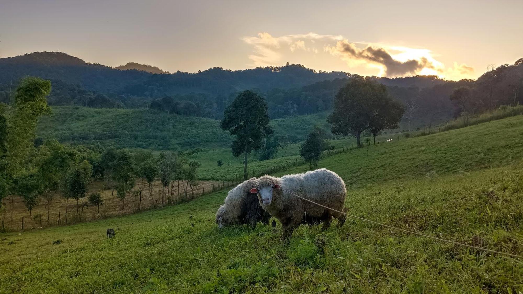 ไร่นิธิสุนทร Nithisoonthon Farmstay Mae Hong Son Esterno foto