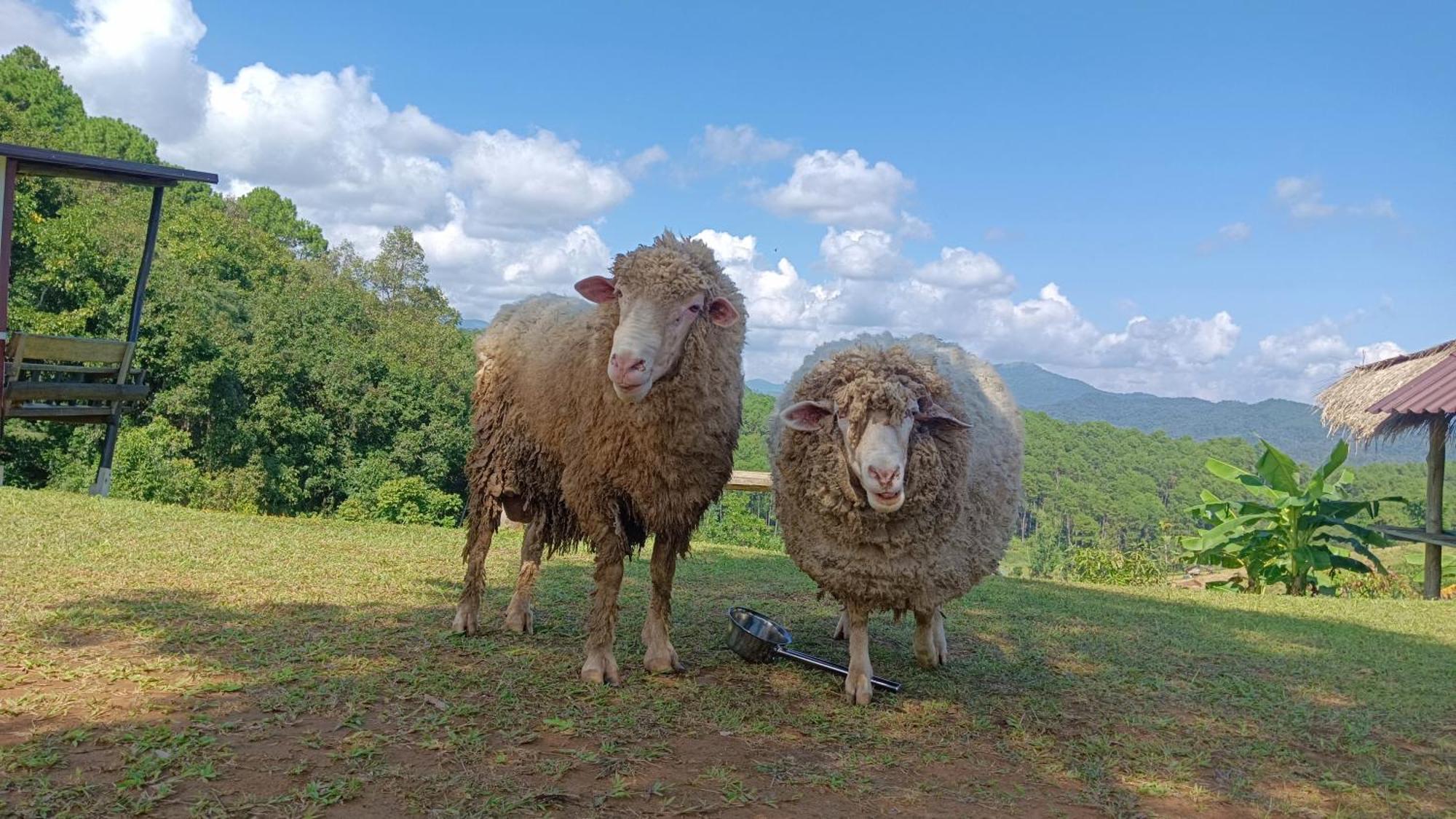 ไร่นิธิสุนทร Nithisoonthon Farmstay Mae Hong Son Esterno foto